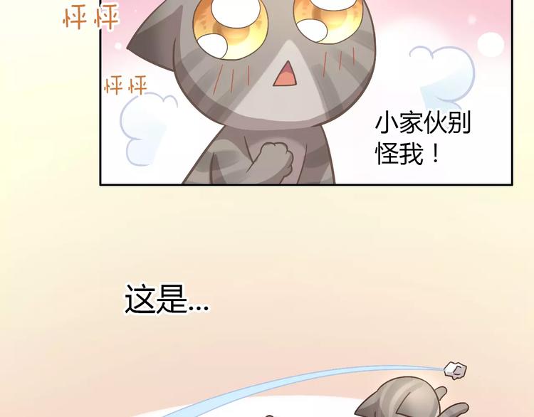 猫爪之下韩漫全集-第21话  糟糕！被发现了无删减无遮挡章节图片 