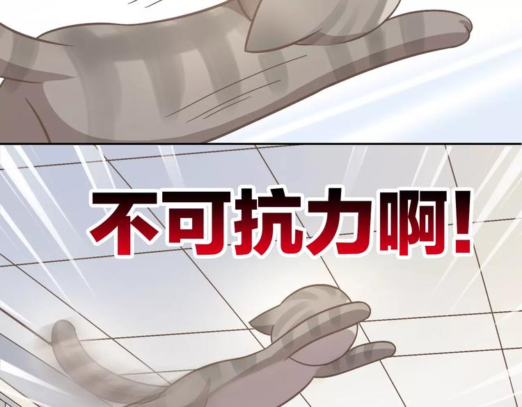 猫爪之下韩漫全集-第21话  糟糕！被发现了无删减无遮挡章节图片 