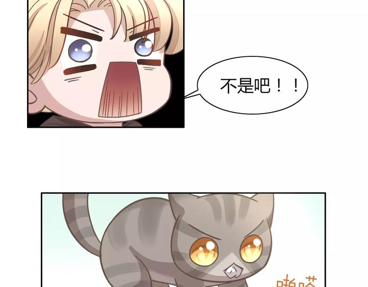猫爪之下韩漫全集-第21话  糟糕！被发现了无删减无遮挡章节图片 