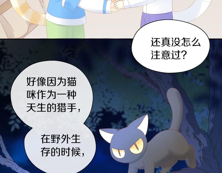 猫爪之下韩漫全集-第200话 猫爪之下无删减无遮挡章节图片 
