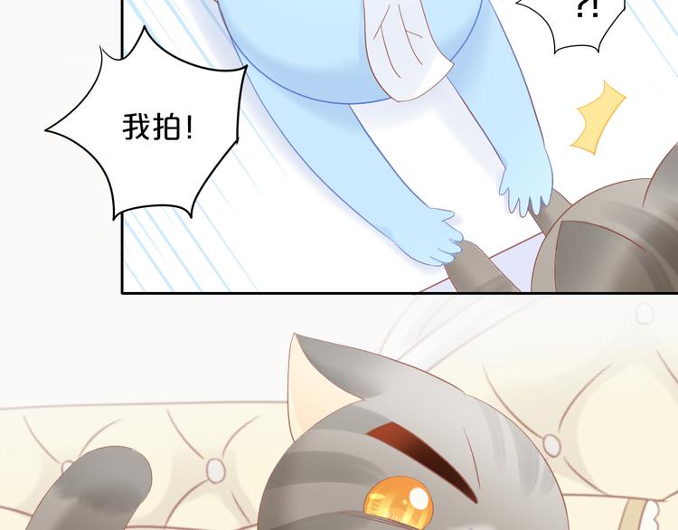 猫爪之下韩漫全集-第200话 猫爪之下无删减无遮挡章节图片 