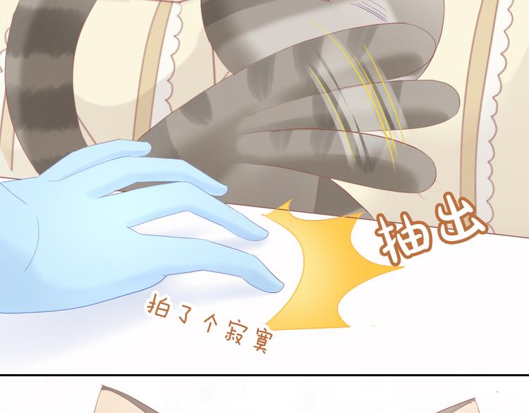 猫爪之下韩漫全集-第200话 猫爪之下无删减无遮挡章节图片 