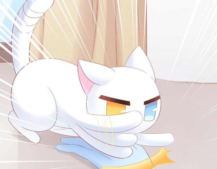 猫爪之下韩漫全集-第200话 猫爪之下无删减无遮挡章节图片 