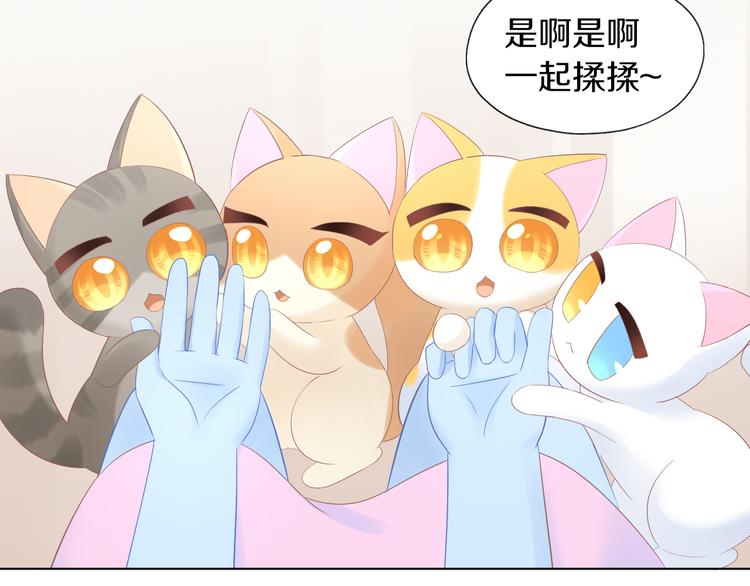 猫爪之下韩漫全集-第200话 猫爪之下无删减无遮挡章节图片 