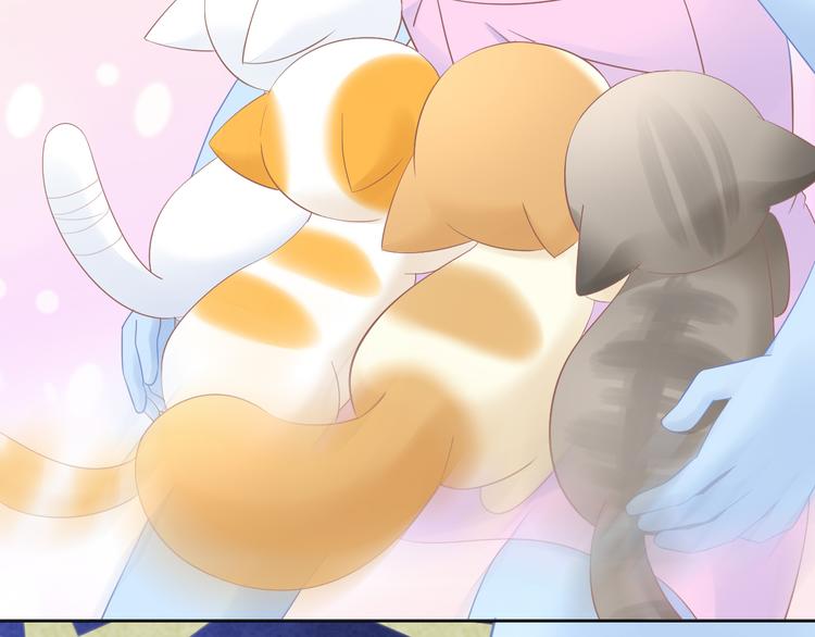 猫爪之下韩漫全集-第200话 猫爪之下无删减无遮挡章节图片 