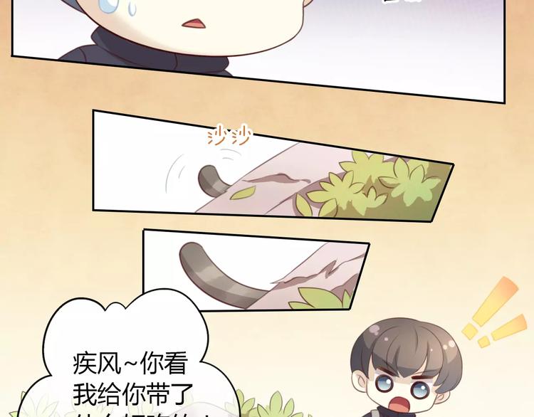 猫爪之下韩漫全集-第23话 人生赢家无删减无遮挡章节图片 