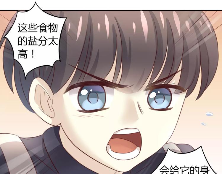 猫爪之下韩漫全集-第23话 人生赢家无删减无遮挡章节图片 