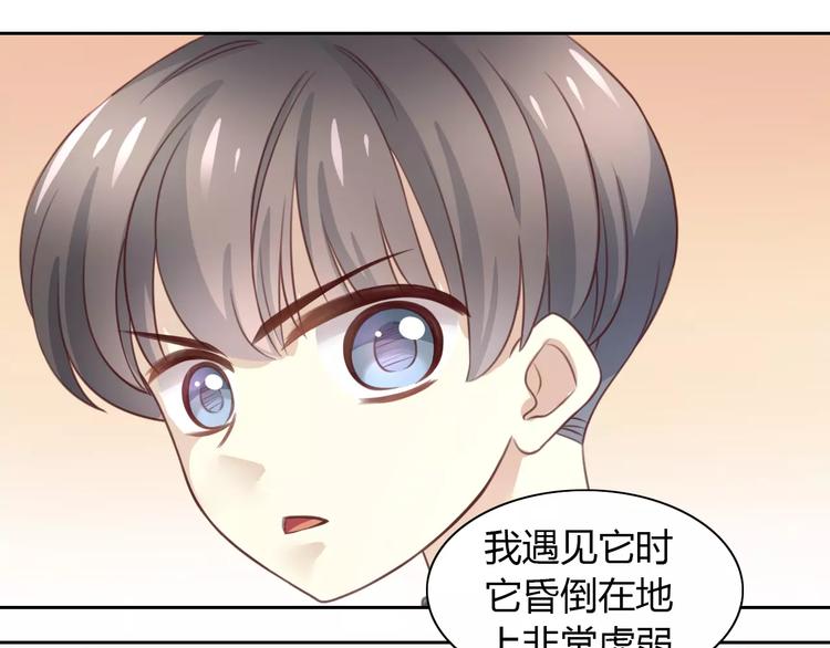 猫爪之下韩漫全集-第23话 人生赢家无删减无遮挡章节图片 