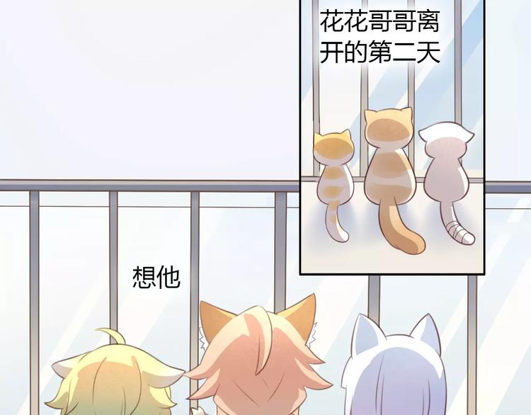猫爪之下韩漫全集-第23话 人生赢家无删减无遮挡章节图片 
