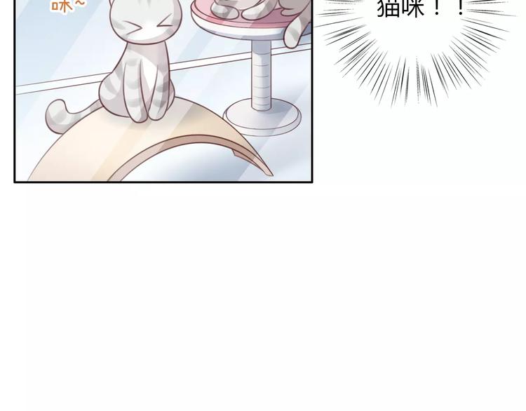 猫爪之下韩漫全集-第23话 人生赢家无删减无遮挡章节图片 