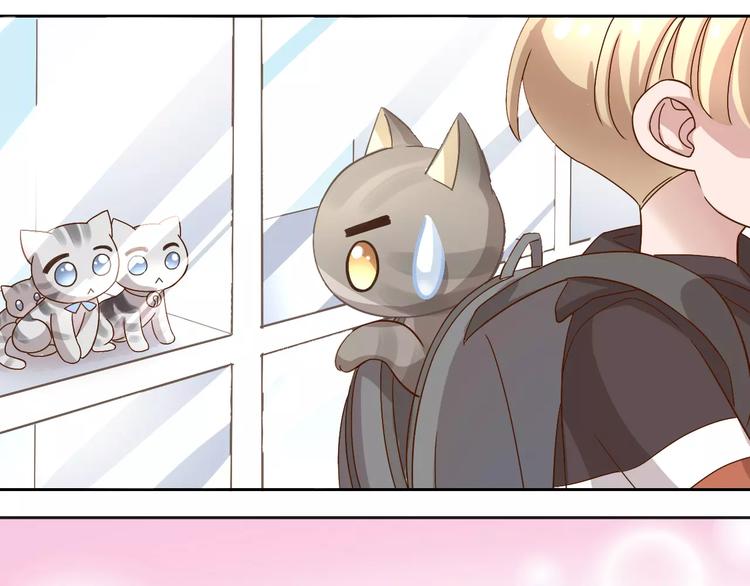 猫爪之下韩漫全集-第23话 人生赢家无删减无遮挡章节图片 