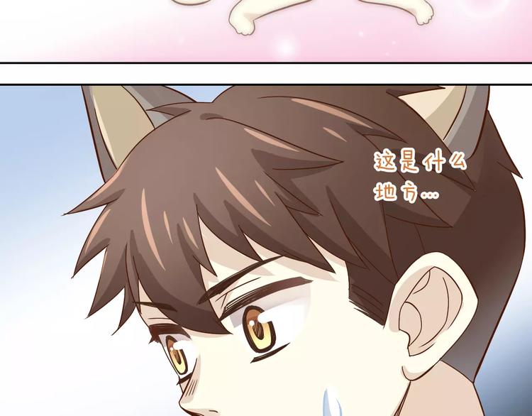 猫爪之下韩漫全集-第23话 人生赢家无删减无遮挡章节图片 