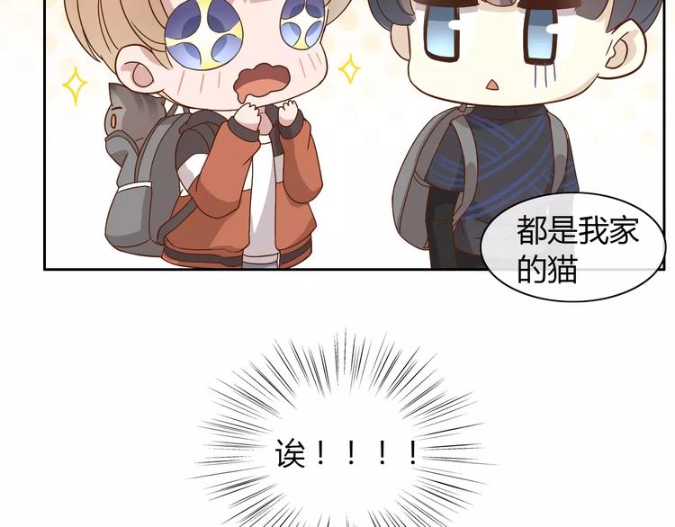 猫爪之下韩漫全集-第23话 人生赢家无删减无遮挡章节图片 