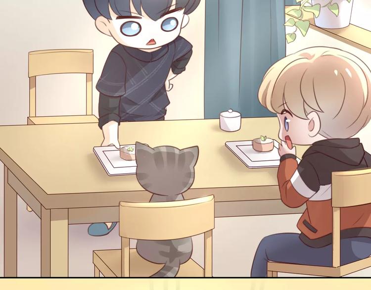 猫爪之下韩漫全集-第24话 猫咪专家无删减无遮挡章节图片 
