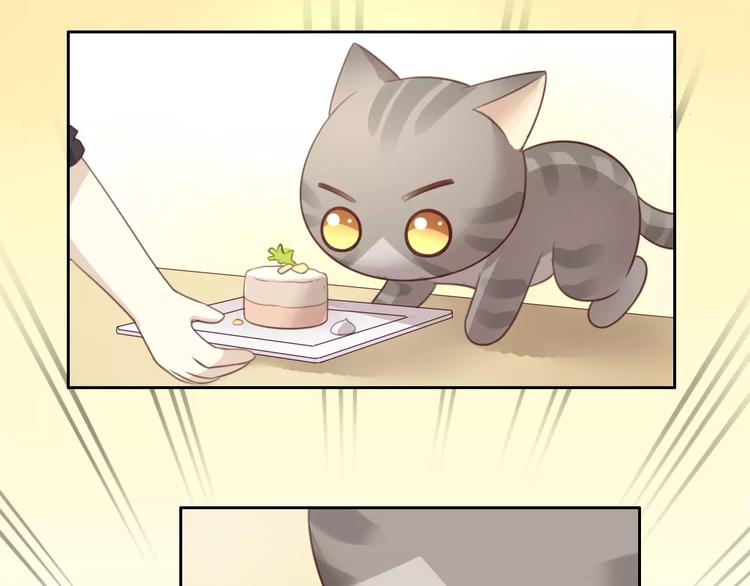 猫爪之下韩漫全集-第24话 猫咪专家无删减无遮挡章节图片 