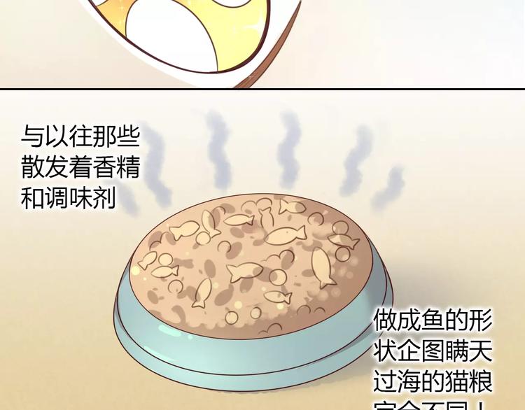 猫爪之下韩漫全集-第24话 猫咪专家无删减无遮挡章节图片 