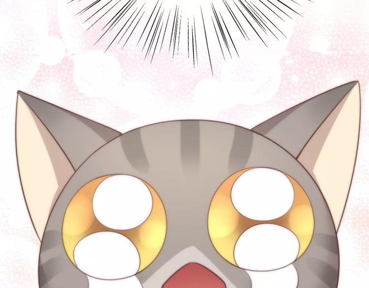 猫爪之下韩漫全集-第24话 猫咪专家无删减无遮挡章节图片 