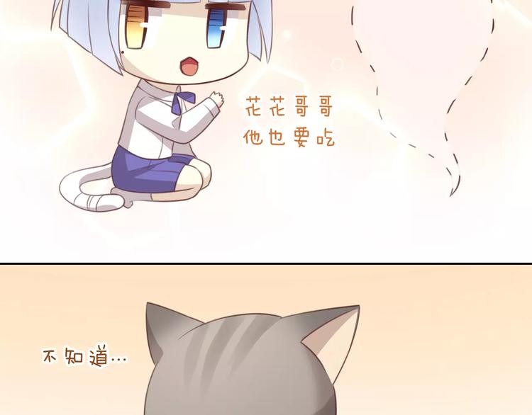猫爪之下韩漫全集-第24话 猫咪专家无删减无遮挡章节图片 