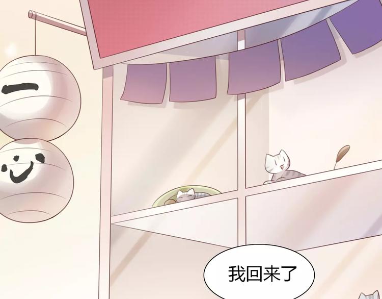 猫爪之下韩漫全集-第24话 猫咪专家无删减无遮挡章节图片 
