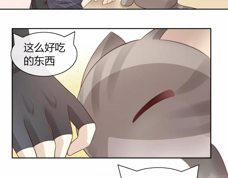 猫爪之下韩漫全集-第24话 猫咪专家无删减无遮挡章节图片 