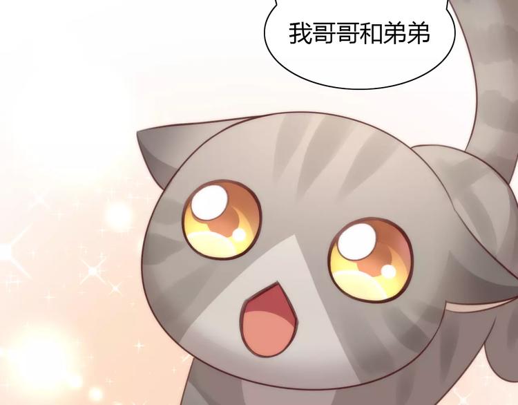 猫爪之下韩漫全集-第24话 猫咪专家无删减无遮挡章节图片 
