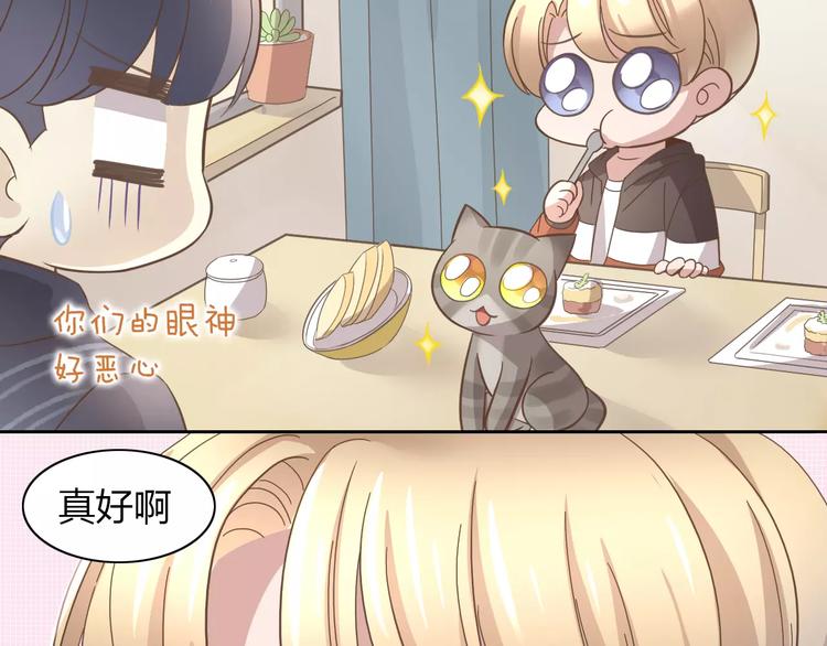 猫爪之下韩漫全集-第24话 猫咪专家无删减无遮挡章节图片 