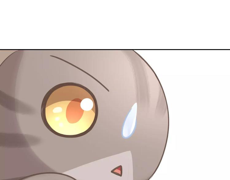 猫爪之下韩漫全集-第25话 反差萌无删减无遮挡章节图片 