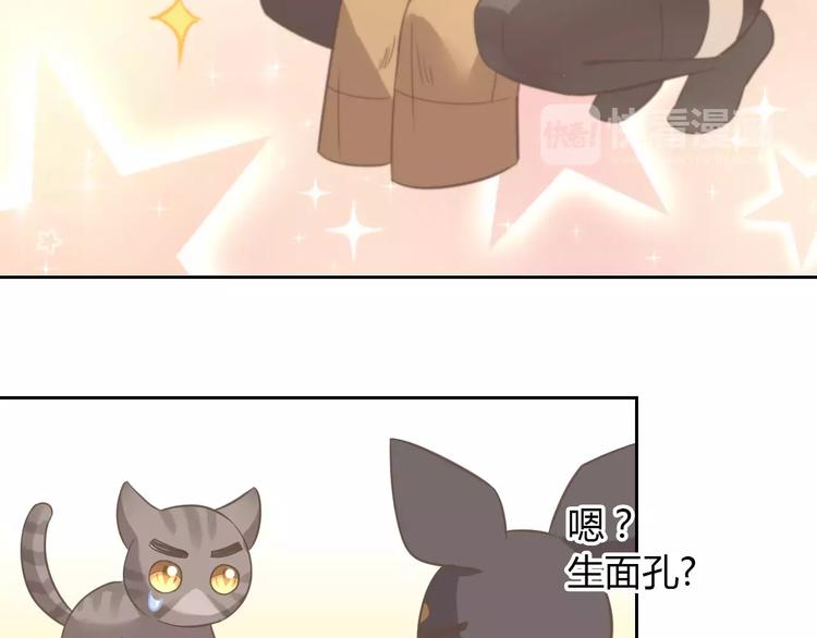 猫爪之下韩漫全集-第25话 反差萌无删减无遮挡章节图片 