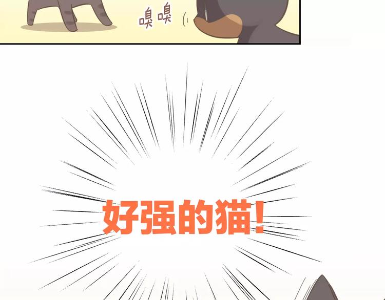 猫爪之下韩漫全集-第25话 反差萌无删减无遮挡章节图片 