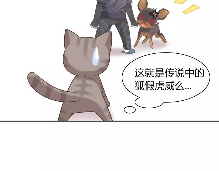 猫爪之下韩漫全集-第25话 反差萌无删减无遮挡章节图片 