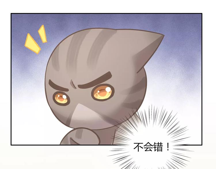 猫爪之下韩漫全集-第25话 反差萌无删减无遮挡章节图片 