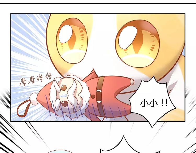 猫爪之下韩漫全集-第26话 圣诞快乐无删减无遮挡章节图片 