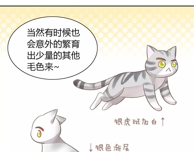 猫爪之下韩漫全集-第27话 总攻现身无删减无遮挡章节图片 