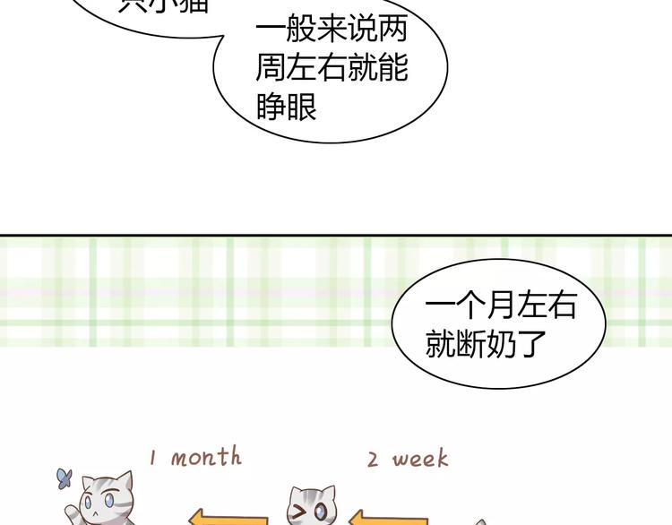 猫爪之下韩漫全集-第27话 总攻现身无删减无遮挡章节图片 