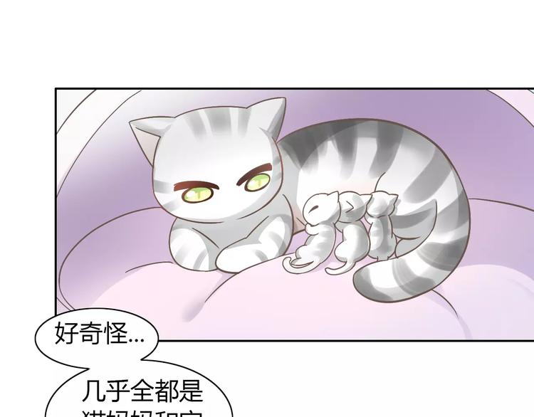 猫爪之下韩漫全集-第27话 总攻现身无删减无遮挡章节图片 