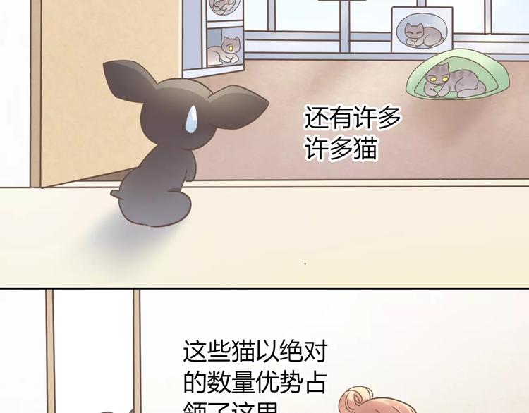 猫爪之下韩漫全集-第28话 迷之自信无删减无遮挡章节图片 