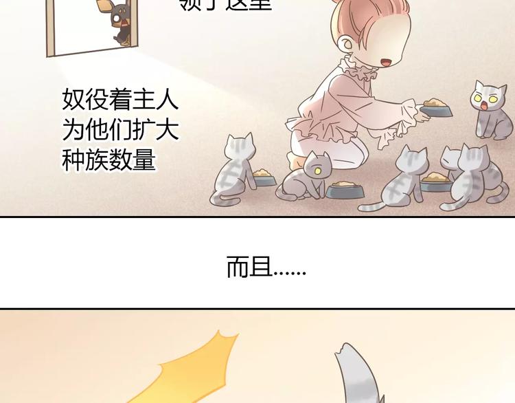 猫爪之下韩漫全集-第28话 迷之自信无删减无遮挡章节图片 