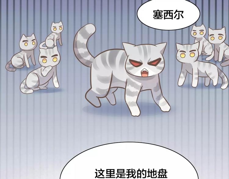 猫爪之下韩漫全集-第28话 迷之自信无删减无遮挡章节图片 