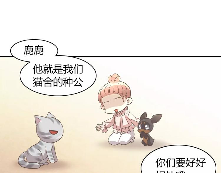 猫爪之下韩漫全集-第28话 迷之自信无删减无遮挡章节图片 