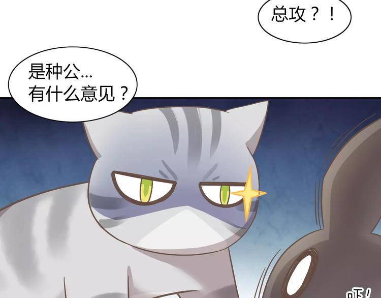 猫爪之下韩漫全集-第28话 迷之自信无删减无遮挡章节图片 