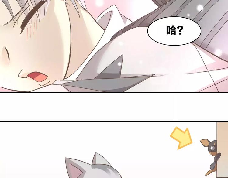 猫爪之下韩漫全集-第28话 迷之自信无删减无遮挡章节图片 