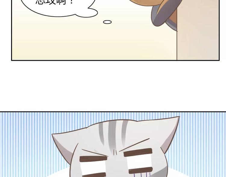 猫爪之下韩漫全集-第28话 迷之自信无删减无遮挡章节图片 