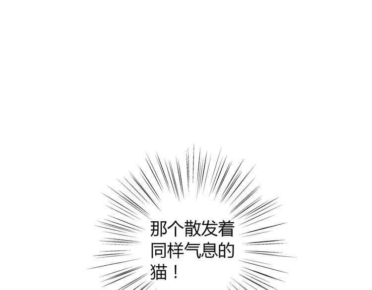 猫爪之下韩漫全集-第28话 迷之自信无删减无遮挡章节图片 
