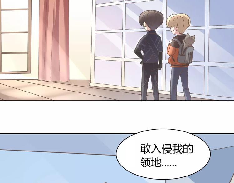 猫爪之下韩漫全集-第28话 迷之自信无删减无遮挡章节图片 