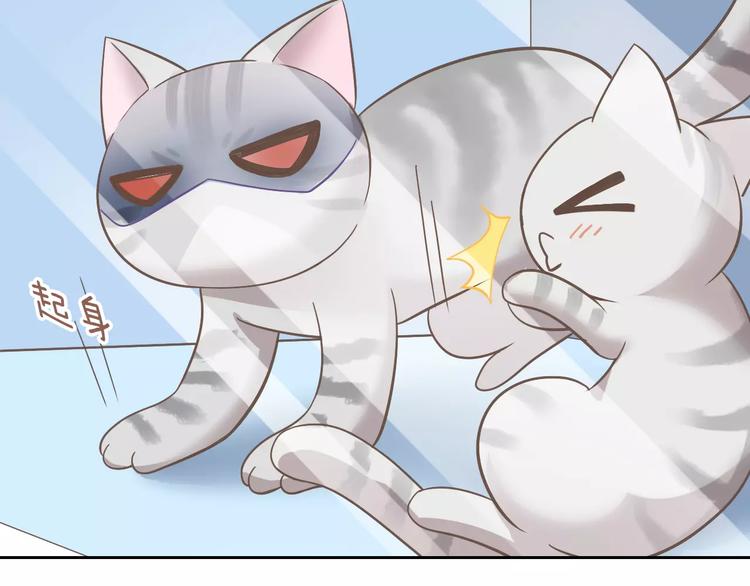 猫爪之下韩漫全集-第28话 迷之自信无删减无遮挡章节图片 