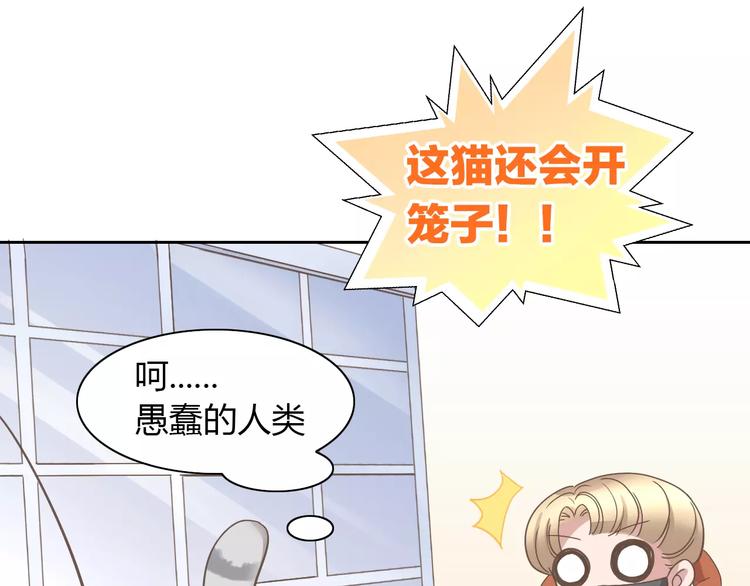 猫爪之下韩漫全集-第28话 迷之自信无删减无遮挡章节图片 