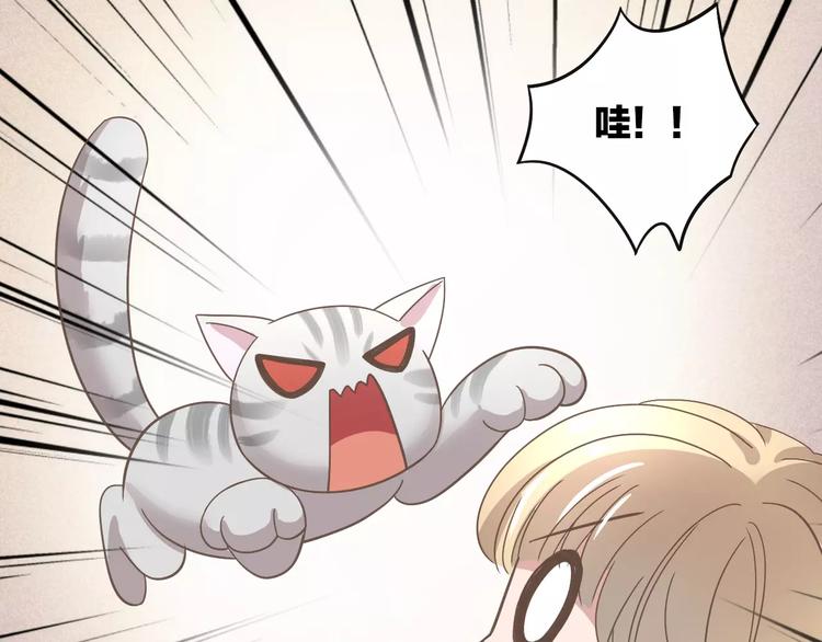 猫爪之下韩漫全集-第28话 迷之自信无删减无遮挡章节图片 