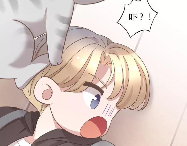 猫爪之下韩漫全集-第28话 迷之自信无删减无遮挡章节图片 