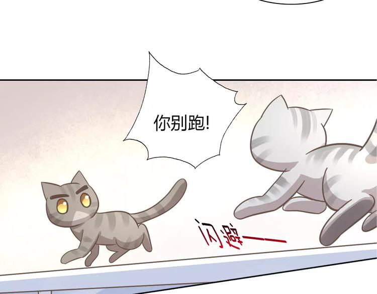 猫爪之下韩漫全集-第28话 迷之自信无删减无遮挡章节图片 