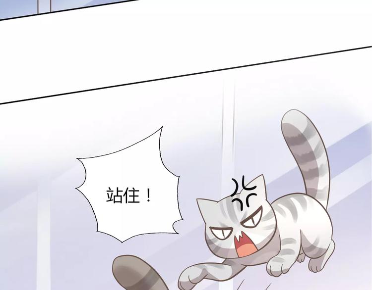 猫爪之下韩漫全集-第28话 迷之自信无删减无遮挡章节图片 